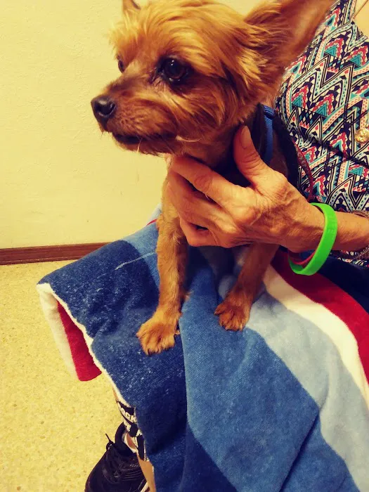 Hometown Pet Care Picture 7