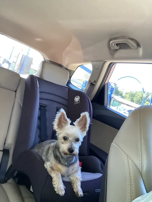 Hometown Pet Care Picture 6