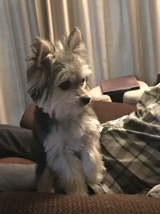 Hometown Pet Care Picture 5