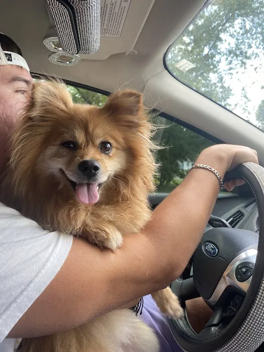 Hometown Pet Care Picture 9