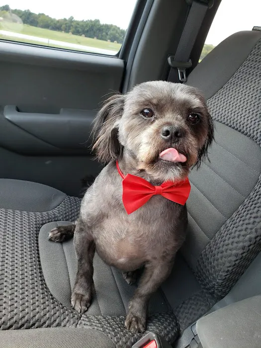 Miami Animal Hospital Picture 3