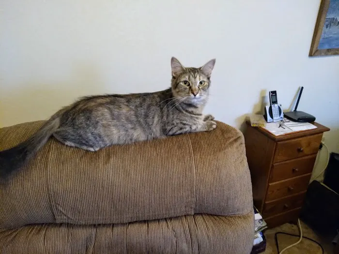 Miami Animal Hospital Picture 1