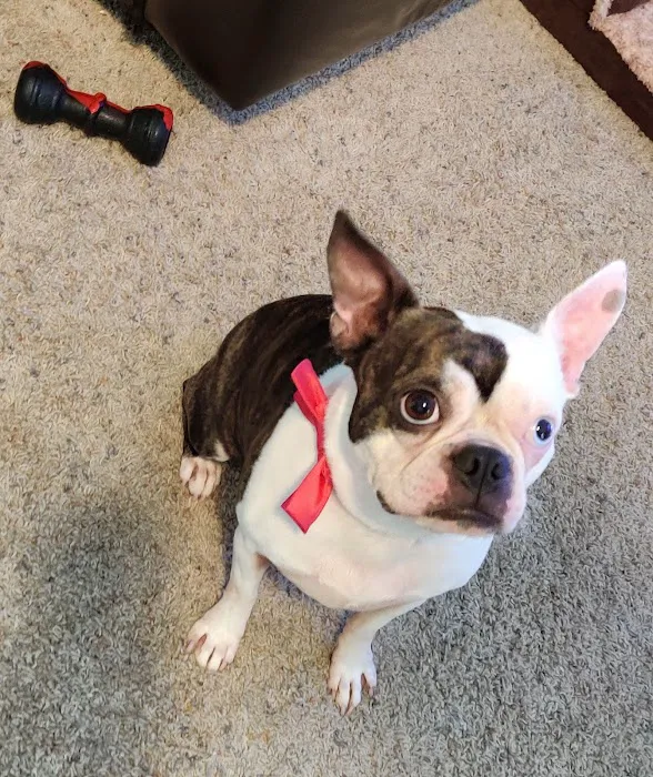 Miami Animal Hospital Picture 8