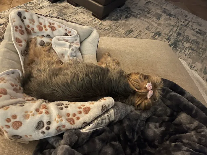 Miami Animal Hospital Picture 7