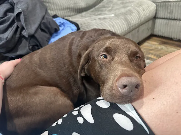 Miami Animal Hospital Picture 5