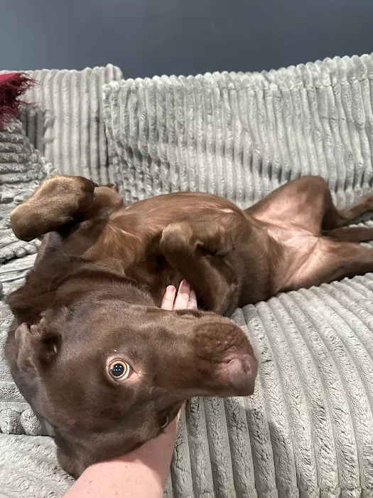 Miami Animal Hospital Picture 4