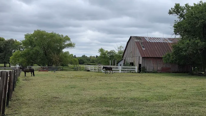 Marcotte Veterinary Clinic, P.C. Picture 1