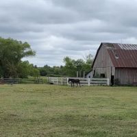 Marcotte Veterinary Clinic, P.C. ico