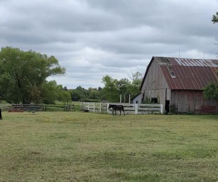 Marcotte Veterinary Clinic, P.C.