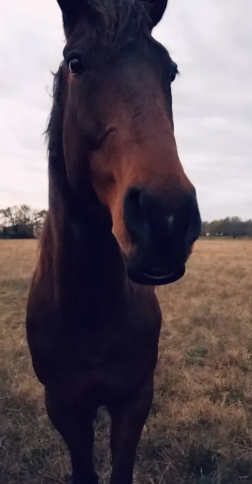 Marcotte Veterinary Clinic, P.C. Picture 3