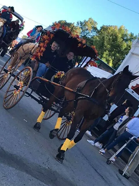 Marcotte Veterinary Clinic, P.C. Picture 4