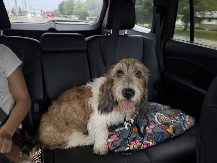 Ravenwood Veterinary Clinic Picture 1