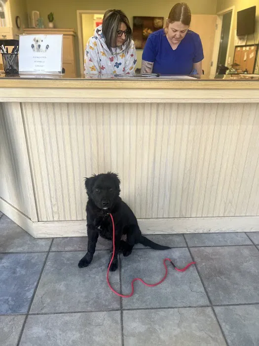 Ravenwood Veterinary Clinic Picture 5