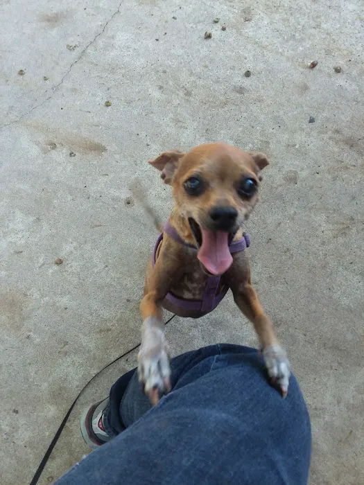 Ravenwood Veterinary Clinic Picture 8