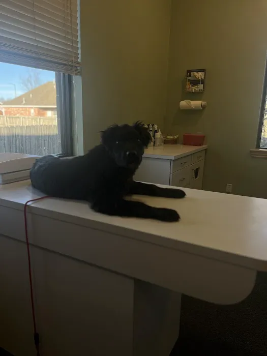 Ravenwood Veterinary Clinic Picture 3
