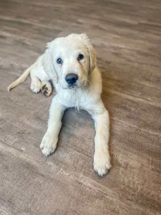 Ravenwood Veterinary Clinic Picture 6