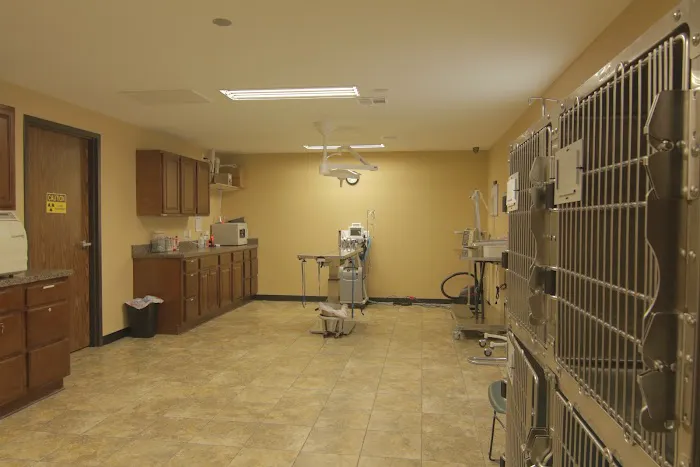 Pro-Vet of Siloam Springs Picture 1