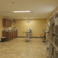 Pro-Vet of Siloam Springs ico