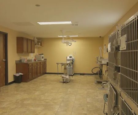 Pro-Vet of Siloam Springs