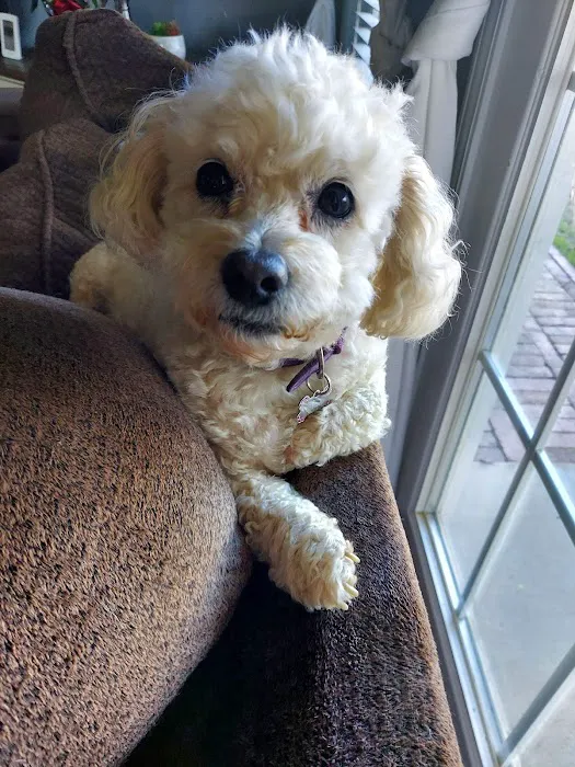 Pro-Vet of Siloam Springs Picture 5