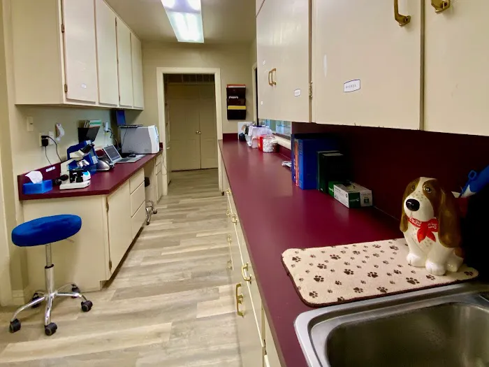 All Creatures Veterinary Clinic Picture 1