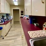 All Creatures Veterinary Clinic