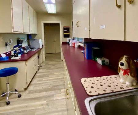 All Creatures Veterinary Clinic