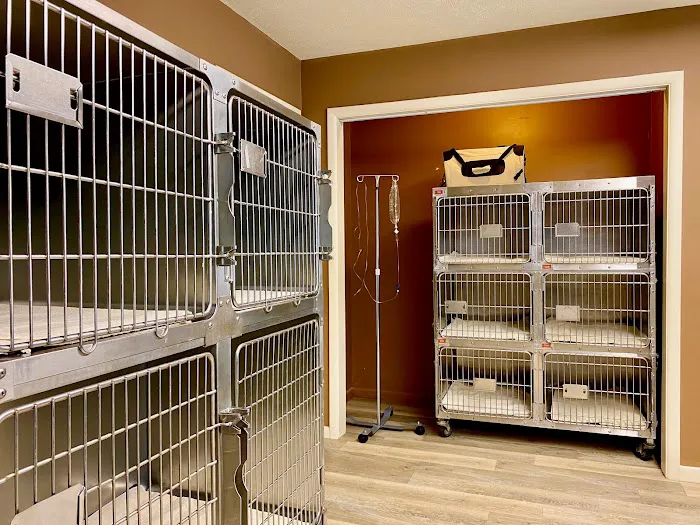 All Creatures Veterinary Clinic Picture 6