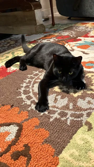 All Creatures Veterinary Clinic Picture 4