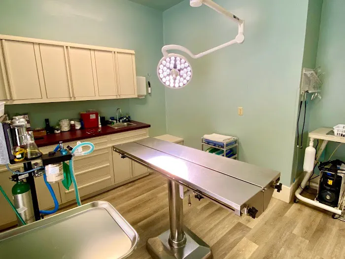 All Creatures Veterinary Clinic Picture 3