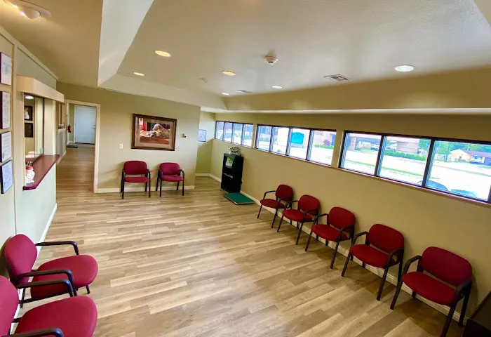 All Creatures Veterinary Clinic Picture 9