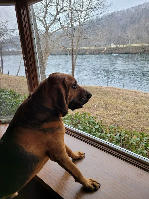 All Creatures Veterinary Clinic Picture 7