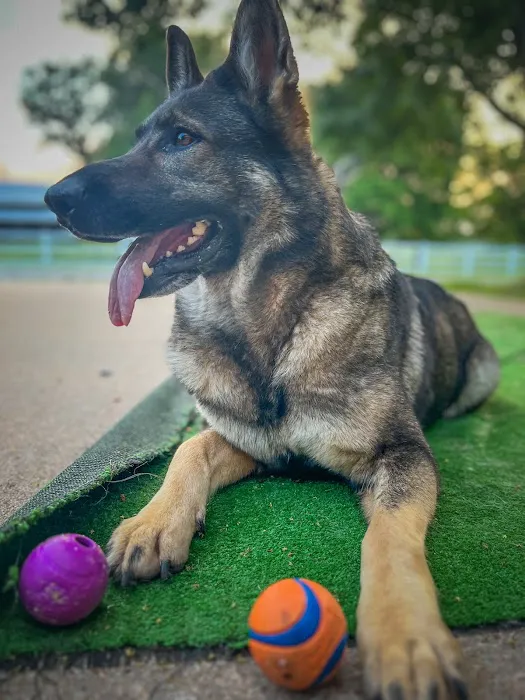 Siloam Springs Veterinary Clinic Picture 3