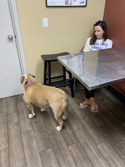 Siloam Springs Veterinary Clinic Picture 6