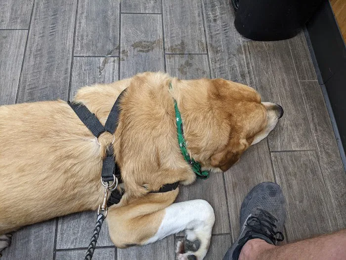 Siloam Springs Veterinary Clinic Picture 10