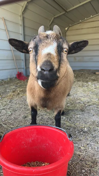 Lunsford Veterinary Care Center Picture 3