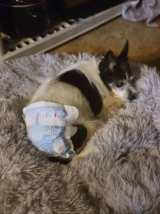 Lunsford Veterinary Care Center Picture 6