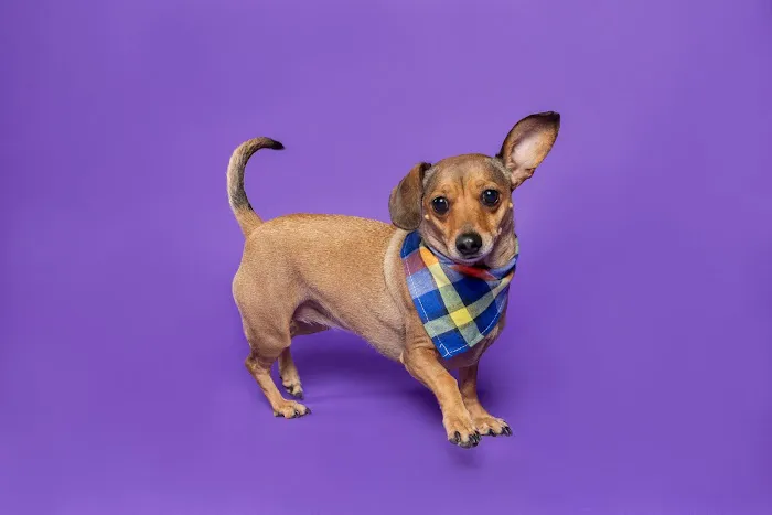 Lunsford Veterinary Care Center Picture 2