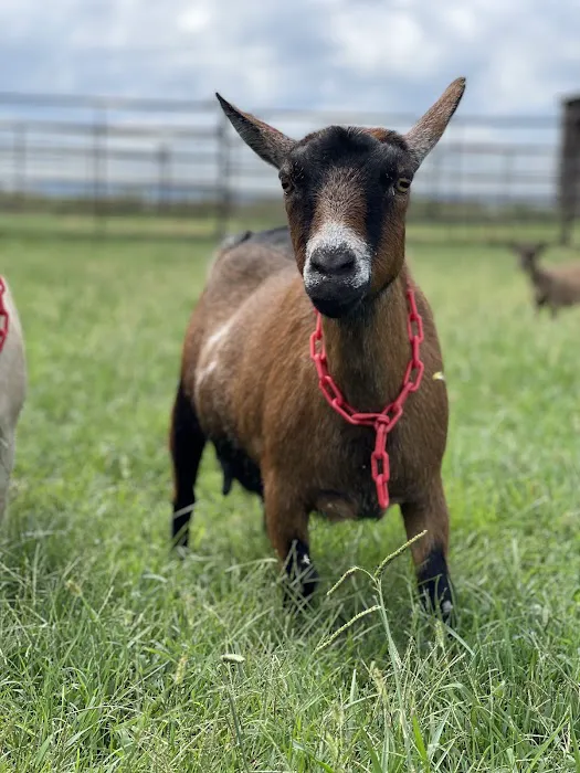 Lunsford Veterinary Care Center Picture 1