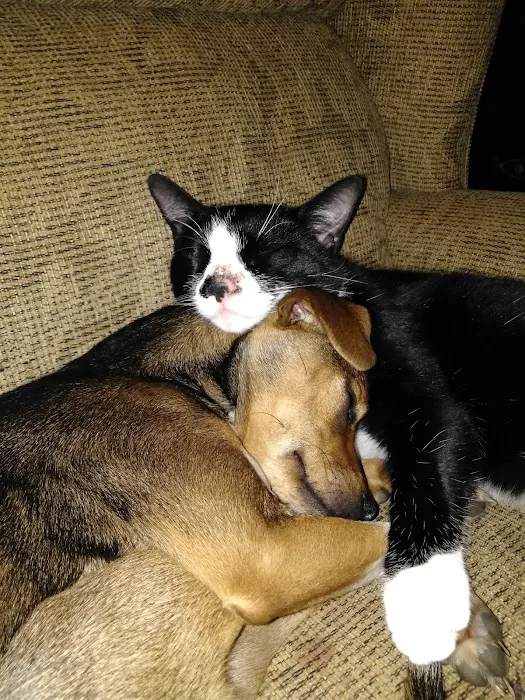 Lunsford Veterinary Care Center Picture 8