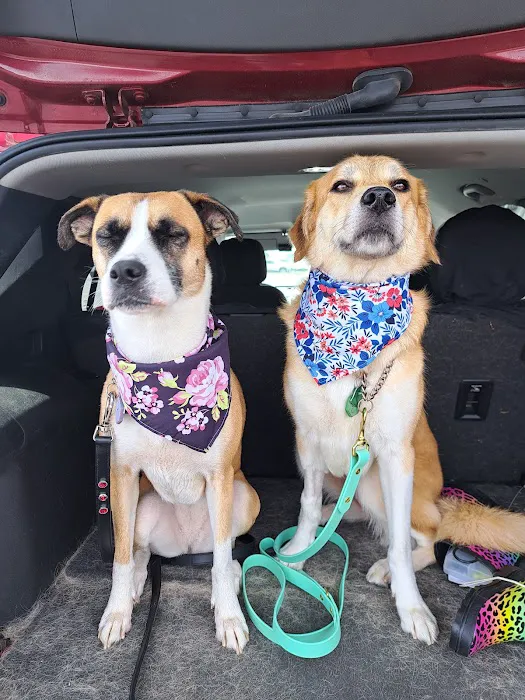 Lunsford Veterinary Care Center Picture 9