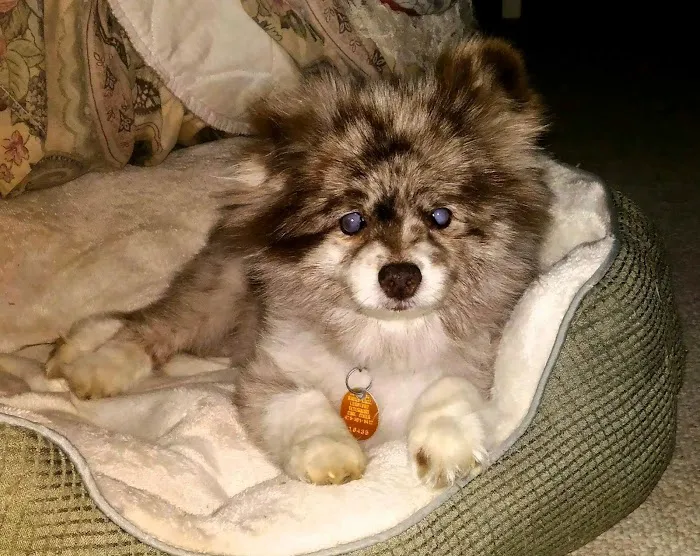 Lunsford Veterinary Care Center Picture 10