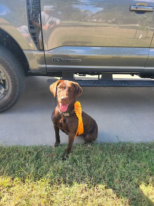 Lunsford Veterinary Services: Lunsford Michael DVM Picture 1