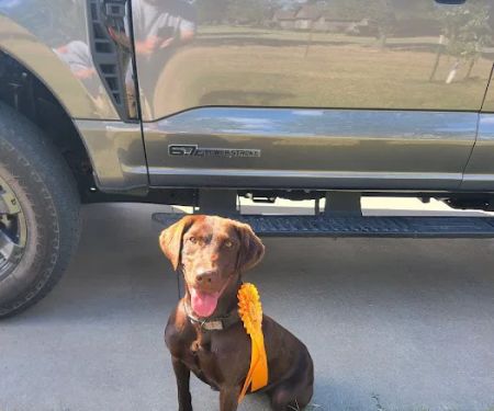 Lunsford Veterinary Services: Lunsford Michael DVM