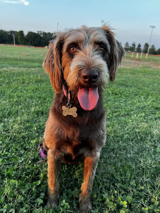 Lunsford Veterinary Services: Lunsford Michael DVM Picture 4