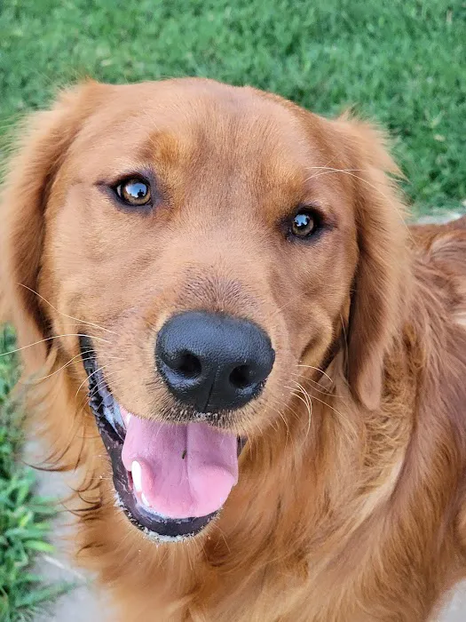 Cave Springs Veterinary Services Picture 2