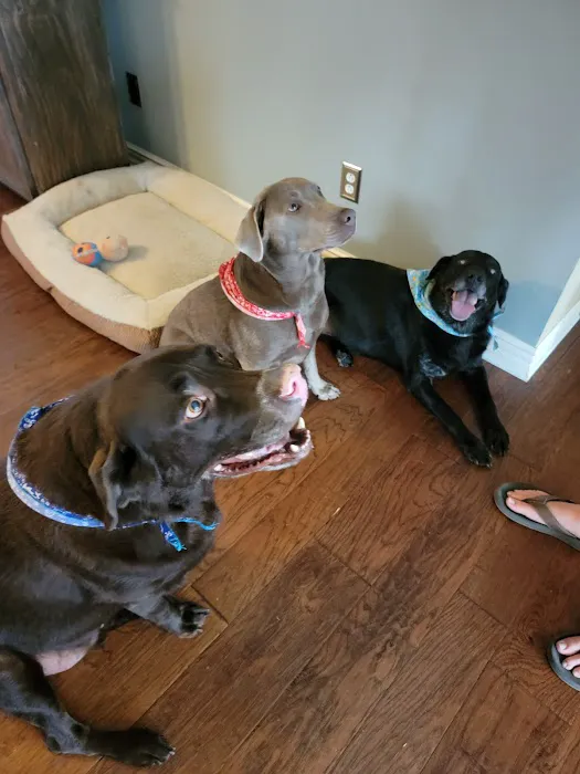 Cave Springs Veterinary Services Picture 5