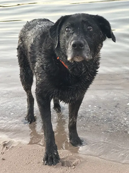 Cave Springs Veterinary Services Picture 6