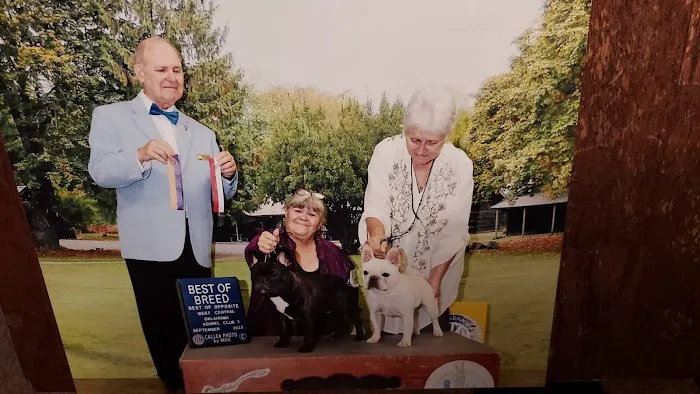 Cross 7 Veterinary Picture 1