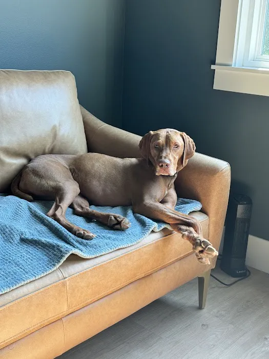 Animal Medical Center at Pinnacle Hills Picture 3